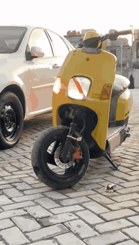 سلام عليكم ماكس بوليس لبيع دراجه بيه لاستيك ولف فقط مابيه اي تنقيص دراجه خير من الله شلعه ومعدل كهربائيات كامله كله شغاله دراجه بيه نواقص بصيطه بغداد مدينه الصدر .السعر 450 وبيه مجال للطيبين اتصل واني بخدمتك*********** وتساب فقط والله يرزق الجميع🤍
