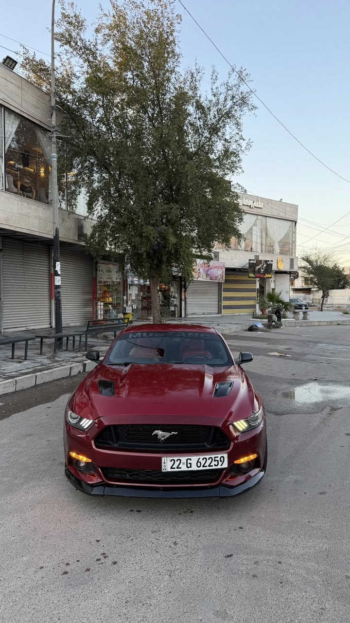 سلام عليكم حبايب 
موستنك ايكو بوست 4 سلندر توربو 
موديل 17 
قطعتين صبغ 
صدر امامي خلفي جديد 
تخم تاير جديد 
منضومه تبريد جديده 
بجم كامل gt 
داخل لونيه 
كلشي بيها شغال السياره مكفوله من كل شي رقم أربيل تحويل مباشر سنويه لل2029 
السعر 118 وبيها مجال بسيط 
مكان السياره بغداد
***********
