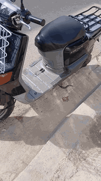 السلام عليكم بيكم سلف هندر شلعه معدل كيلو متر عداد كلها شغاله اوراق كامله كهربائيات كامله دراجه محركهه اخرس شرط الفحص مكاني بغداد الحبيبيه قرب مطعم وليد ابو الكص سعر ٤٢٥  >>>> ***********
