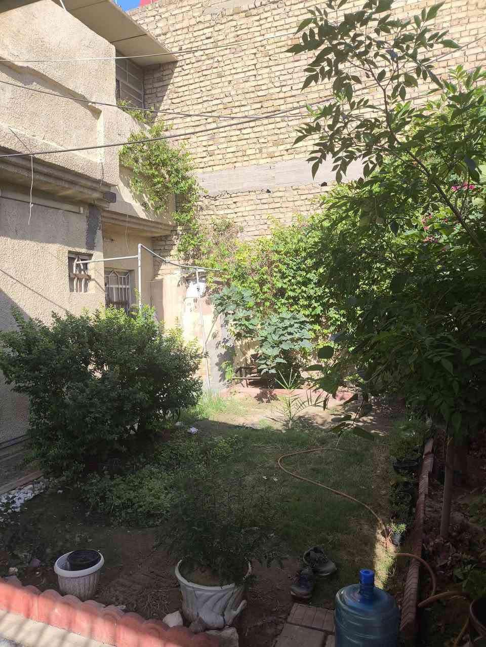 السلام عليكم بيت للبيع في كربلاء حي النصر شارع الملعب السايدين يتكون من استقبال وصاله وثلاث غرف وحده جوه وثنين فوگ ومطبخ يحتوي على حار وبارد وصحيات عدد 3 ثنين جوه واحد فوگ سويت يعتبر وي الغرفه ومخزن يصلح غرفه مساحة 200م البيت سعره 300 وبيه مجال قليل طابو صرف والاستفسار عله الرقم ***********
