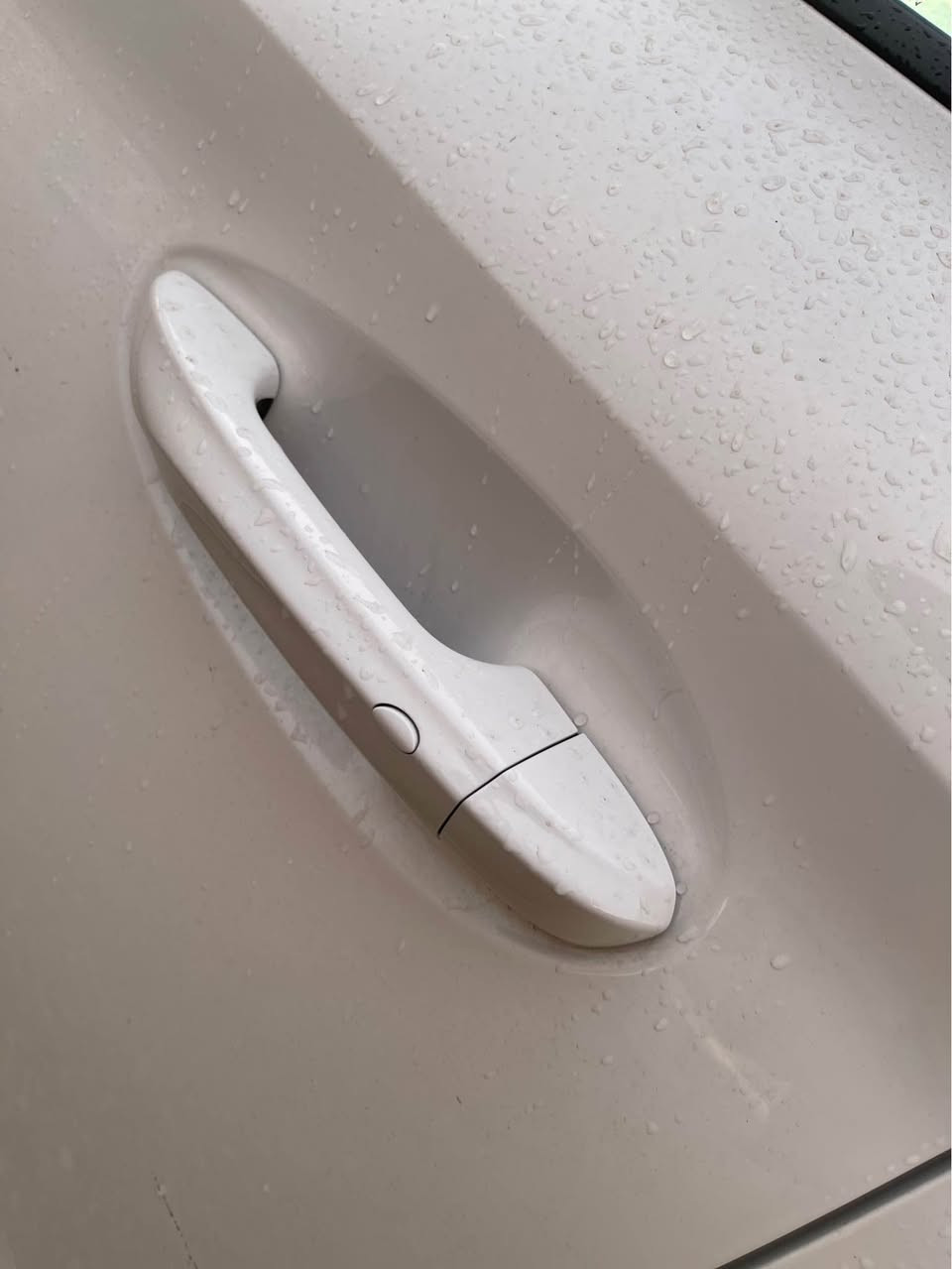 ئيمجي جيتي موديل ٢٠٢٥ گير عادي ته نها ١٢ هه زار روشتوه بوياخ ته نك چالو شوخت به شه رت شاشه و كاميرا دوو بصمه ي بيلاد نرخي ١٠١ گه لاو كه ميك معامه له السليمانية, العراق


**إذا كنت صاحب هذا الإعلان وتريد حذفه لأي سبب، رجاءا أرسل رسالة إلى الدعم الفني**