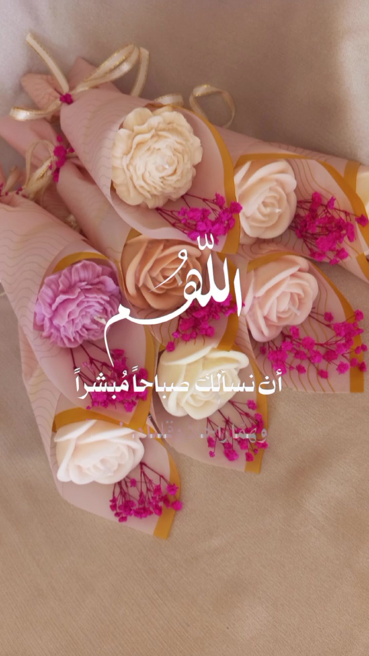 #صباح #الخير #bouquet #candel #تخرج 🇹🇳🤍🩷


**إذا كنت صاحب هذا الإعلان وتريد حذفه لأي سبب، رجاءا أرسل رسالة إلى الدعم الفني**