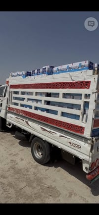 محجر كيف فحل للبيع وكان واسط رقم الهاتف  ٠٧٧١٦٧٧٩٢٥٩