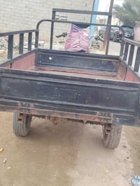 ستوتة كلك • ديوانية • شغالة