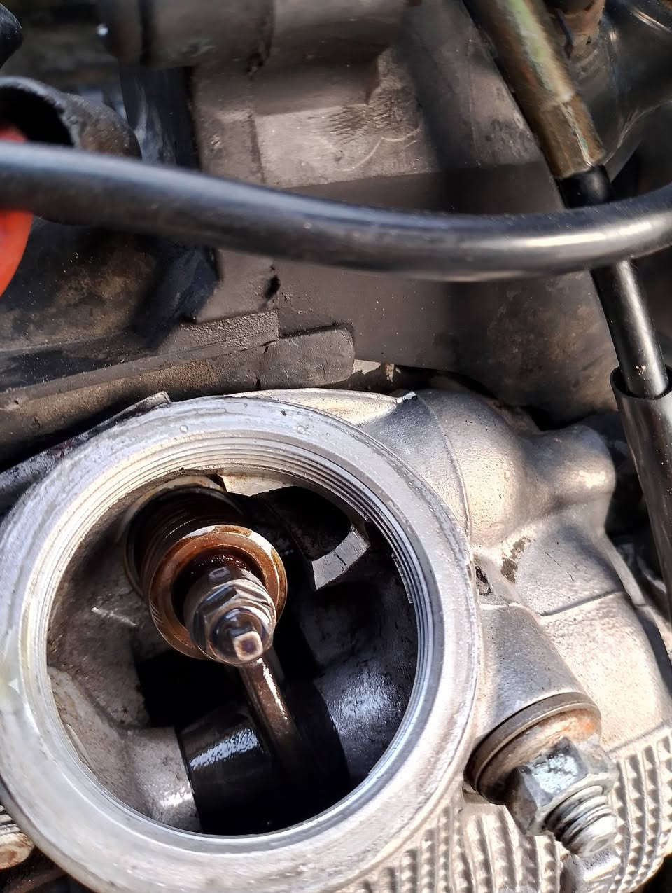 سلام عليكم دراجه فراشه نثيه  حاويه ما مفتوحه دراجه خير من الله كلشي شقل بيه من الطول الطول   صارله شي  قليل من طالع من الحاويه شراي بي خير وا يدلل مكاني قضاء الصادق هاذ رقمي ***********
