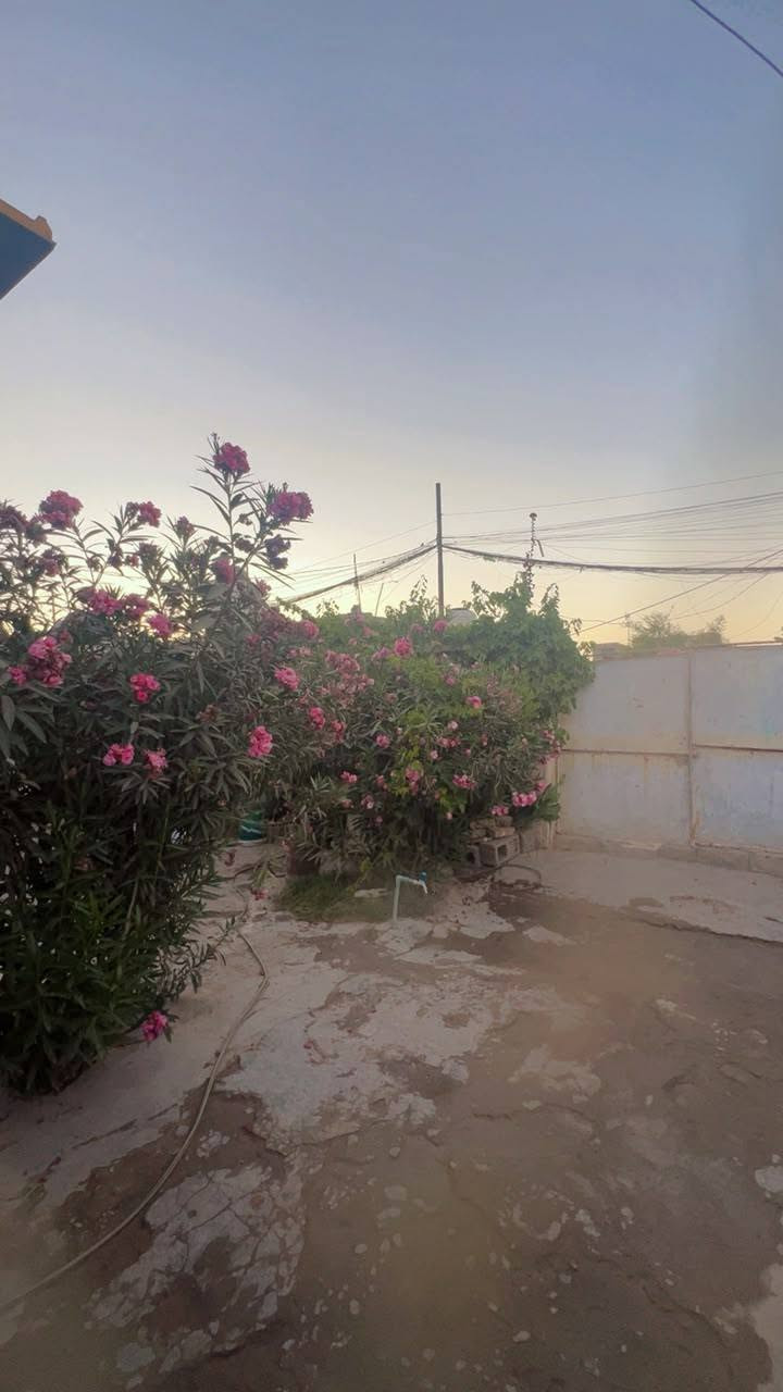 بيت في جبله حي السلام قريب ع قاعه لافندر يحتوي ع مضيف واستقبال وغرفتين كبار  ومطبخ وحمام خارجي وصحيات وحديقه  ومجاري مع مولد حي  كامل  للبيع 
التواصل ع الرقم ***********
