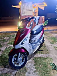 ماكس منغولي • كرزي • متروسه اختام