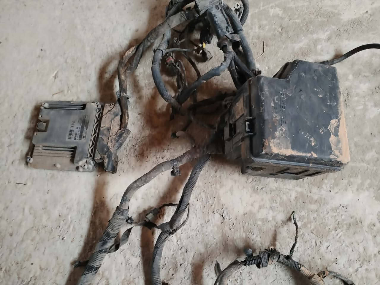 سنتافي 0541003652


**إذا كنت صاحب هذا الإعلان وتريد حذفه لأي سبب، رجاءا أرسل رسالة إلى الدعم الفني**