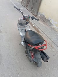 ماكس منغولي • ٥٥ • عقل رياضي