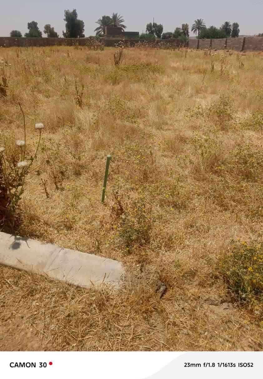 بيع مستعجل 🏗️
ارض زيونه خامسه سومر نهائيه شارع الوزير 150 متر خدمات كامله بيها كرت بلديه نهاية شارع الوزير على شارع 124 
 السعر 15 بيها مجال
واتس اب  :***********
اتصال هاتفي:***********
