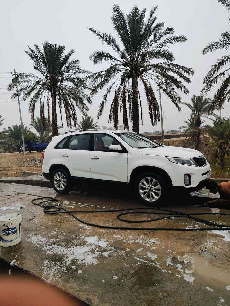 سلام عليكم سورنتو 14 خليجي مكفوله من الصبغ والضربه موصفات نص فول 4 اسلندر تحكم ستيرن 3 قطع تبريد سويج عدد 2  7راكب تخم تاير جديد باتري جديد لايت زنون ويل 18 خمسه ويل كب  مرايات شفط حساسات امامي خلفي سياره كارتوت دوشمه جديده  بسمي رقم بصرة مشروع وطني  السعر 175 او بيها مجال قليل المكان قضاء المدينه بني منصور  للاستفسار***********
