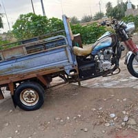 ستوته • موديل 14 • عفك