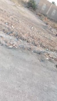 الزديناويه • ارض زراعي • ٣٠٠م