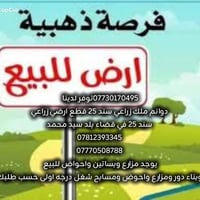 دوانم ملك • سند ٢٥ • قضاء بلد سيد محمد