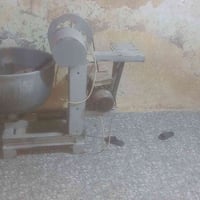 عجانة • للبيع • ام جيس