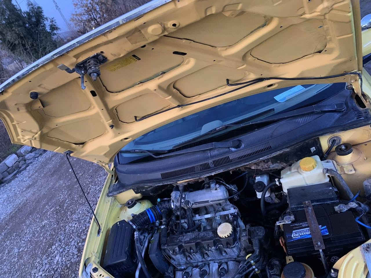 ئەڤیۆ سفر خوارهەموبازاڕ نەموس نەبڕاوە ئاڕمی خوارەوەیە بەشەرت چرکەی تیانیە زۆر کەم ڕۆیوە مەسروفی نیە لەڕەسمەکان جوانتر نەبو نەتەوێ بیلاد تەکسیە حازرەبۆئیش یەکسەر 32گەڵاشوێن شارەزور هەموگیانی لۆکە ***********
