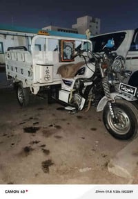 ستوته دايون • موديل 2023 • جديدة كارتون