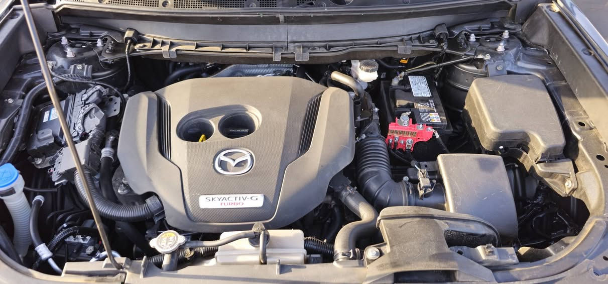 مازدا cx9 2022 toring plus
7 راكب كشن vip
سلايت 
بصمه بصمه ابواب 
كشن خزن كشن هيتر وتبريد
رادار 360
حساسات360 وبعد هواي مواصفات 
مرقم كلشي جديد
رقم الشاصي JM3TCBAY9N0613544
 الشراي يخابر الرقم يخابر الرقم 
*********** واتس اب
