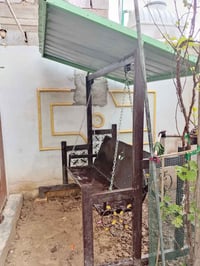 كنب • سنغافورة