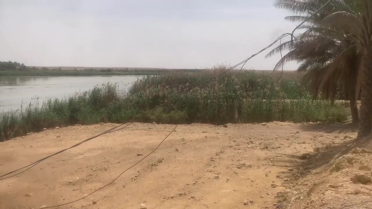 تم تخفيض السعر


**إذا كنت صاحب هذا الإعلان وتريد حذفه لأي سبب، رجاءا أرسل رسالة إلى الدعم الفني**