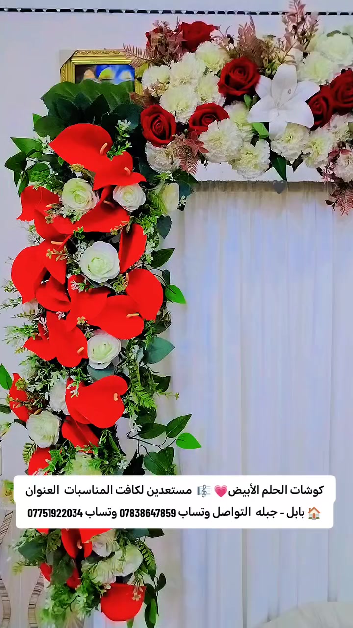 كوشات الحلم الأبيض💗 🎼  مستعدين لكافت المناسبات  العنوان 🏠 بابل - جبله  التواصل وتساب *********** وتساب ***********
