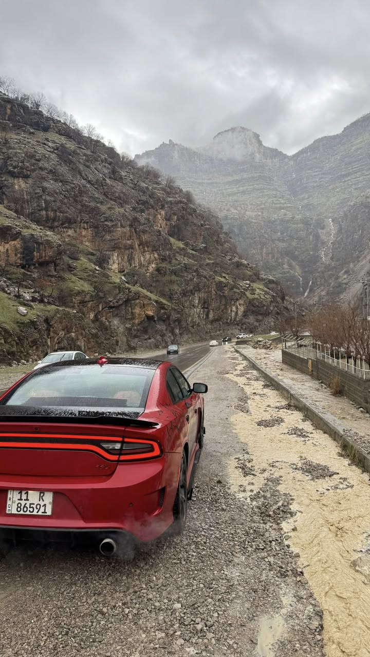 سلام عليكم جارجر 15 RT هيمي 5700 للبيع
لسياره داخله كلين للعراق بس هنا بلعراق بيه صارت كم ضربه وطخات
لون احمر مميز 
ستيرن كهربائي
خزن مموري 
كشنات تتفئه تبريد وره وكدام 4 كراسي
كشنات حضن
شاشه جبيره 
لايتات زنون 
عين شيطان متغير الوان
دبات سالنصه لسود صوت ايخبل
لحيه اماميه
دفيوزر خلفي 
حساسات 
يعني لسياره متعوب عليه وشبابيه وما ناقصه شي ولسياره احله من لصور وسياره رقمه بغداد باسمي تريد احولك تريد وكاله لسعر 169 وبيه مجال بصيط ***********
