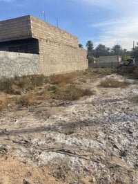 سند ٢٥ • ٣٠٠م • طويريج الرشيده