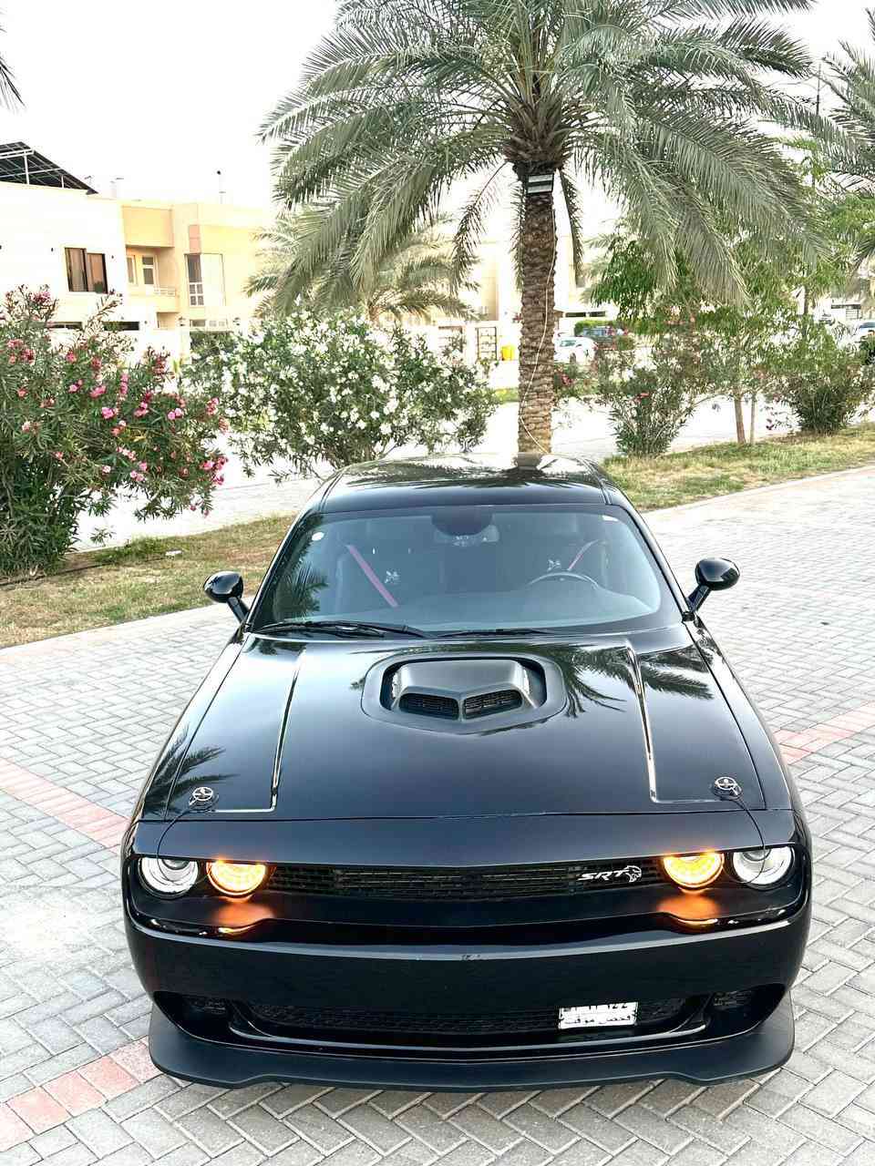 للبيع جالنجر 2023 shaker SRT✅
إصدار Last Call النسخة الخاصة

سعرها ادخل ع رابط https://t.me/carssofiraq/16171

🔥 للبيع بسعر مميز: وحش العضلات الأمريكية Challenger Shaker SRT 🔥
((ملاحظة: البيع كاش فقط، لا نقبل البدل والمراوس))
لعشاق الفخامة والأداء الرياضي، نضع بين أيديكم سيارة Dodge Challenger Shaker (إصدار Last Call)، النسخة الخاصة والمحدودة (واحدة من 500 قطعة حول العالم). سيارة نادرة بتصميم استثنائي، بحالة المصنع، ولم يتم التعديل على محركها أو ميكانيكها نهائياً.
━━━━━━━━━━━━━
📋 المواصفات الأساسية:
 سنة الصنع: 2023
 الإصدار: Last Call - Shaker SRT
 الممشى: 18,000 ميل فقط
 المحرك: 6.4L V8 القوي
 ناقل الحركة: أوتوماتيك
 اللون: أسود ملكي
━━━━━━━━━━━━━
✨ المميزات والكماليات:
 التكنولوجيا: تشغيل عن بعد، بصمة، شاشة معلومات ضخمة، دعم Apple CarPlay.
 الراحة: مقاعد جلد/ألكنتارا فاخرة بشعار Shaker، تحكم كهربائي بالمقاعد مع ميموري، نظام تبريد وتدفئة للمقاعد.
 الأمان: نظام التحذير من النقاط العمياء، كاميرا خلفية.
 إضافات حصرية: نظام صوتي Alpine احترافي، مرايا حرارية.
━━━━━━━━━━━━━
🚀 تزويدات SRT الأصلية:
 مكابح (بريكات) Brembo الرياضية (6 بستم).
 نظام عادم وشوته رياضي.
 داخلية كاربون فايبر حقيقي.
 عدادات سرعة بتصميم Shaker المميز.
 مساعدات (دبلات) صفراء SRT.
━━━━━━━━━━━━━
🛠 حالة السيارة (الشفافية أولويتنا):
 الاستيراد: أمريكي.
 الحادث: جاملغ أمامي يمين + جاملغ خلفي يسار (تم الإصلاح بدون تبديل أو قص).
 السلامة: الإيرباكات سليمة (Company).
 الصبغ: السيارة صبغ عام (مرفق تقرير "كلير" الأمريكي).
━━━━━━━━━━━━━
📍 المكان: كربلاء
📲 للاستفسار والتواصل: ***********
.
.

🚗اعرض سيارتك ع اقوى قناة تلكرام و واتساب و صفحتي فيسبوك للبيع و شراء سيارات ادخل ع رابط 👈 https://t.me/carssofiraq
