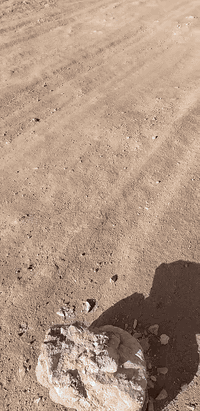 يوجد قطعه أرض للبيع 
المساحه 1،248متر منطقه الشيخ حديد فوك الحولي
مكفوله  سعرها 5ونص   ***********
