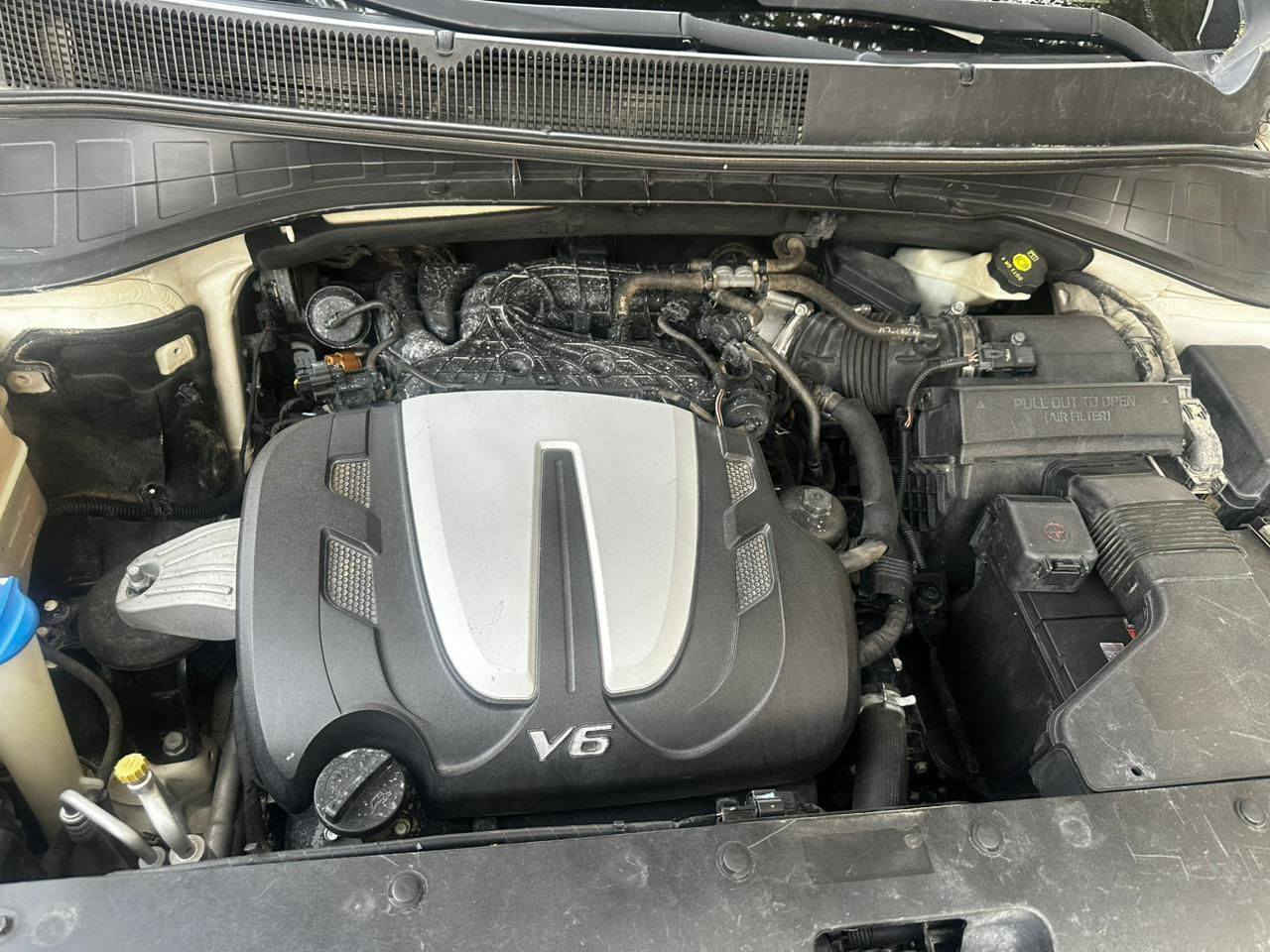 سورنتو  موديل 17 خليجي مكفولة بس بارد بحافه الباب الخلفي اصلا مامبين نهائيا موضح بالصوره سياره جاهزه تخم تاير حداديه تبريد تدفئه كير ومكينة منضومه لايت زنون دهن كله وكاله دوشمه الكشنات والارضيه جلد بلاد بيجي كلفن 8ورقات 
6 سلندر 
7 راكب 
تبريد 3 قطع 
گازگيت مبدل وگالة بشركه كيا 
ماشيه 200 km 
السعر 210 وبيه مجال قليل 
وباقي مواصفات السورنتوا المعروفة سياره مامتعوبه جديده كلش العنوان العماره حي المعلمين الجديد الفتحه الأولى ***********
