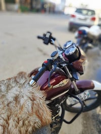 دراجه هاوجي هارلي 2023 مرقم كامل لوحات انكليزي تجي تفحص وين متريد فول ...