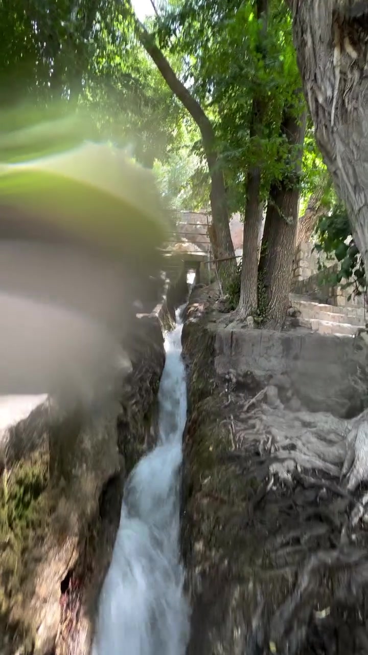 سارع بالحجز و استمتع معنا
آخر مقاعد
موعد الانطلاق بعد عشره محرم
ايران بري 
🚌🚌🚌🚌🚌🚌🚌🚌

14 يوم 
 قم ومشهد والشمال بسعر(230) الف فقط
10 يوم 
قم و مشهد 🚌🚌
بسعر(170)الف دينار عراقي 
ملاحضة
كل البرامج تشمل
3 وجبات طعام مشهد
🥯🍔🍟🍲🍛
🍮🫕🍜
جولات دينية وسياحية 
على حساب الشركة 

مع اجمل الجولات السياحيه 
🚠⛵🎡🏝️🕌
الشمال 
‎🔴 البرنامج يشمل👇👇
‎❤ جالوس . رامسر . نوشهر ❤ ساحل بحر قزوين ❤ نمك ابرود ❤ الغابات ❤ بحر قزوين ❤ موتل قو ❤
‎التلفريك ❤ احلى الالعاب المائية في بحر قزوين السكي والمنطاط والجاتسكي وطرادات والبرشوت وجميع الالعاب الجميلة ❤ غابات 
‎ 🌹 تلفريك 🌹
جوله دينية
 في قم زيارة السيدة معصومه..
جامع جمكران . بيت النور 
مشهد المقدسة 
 زيارة الامام الرضا ع.
 قدم الإمام الرضا.
. زيارة ياسر وناصر اخوان الإماالرضا ع..
جبل كوسنجي 

ملاحضة 

فرق الغرفة الثنائي 50 الف للنفرين طول الرحلة 
👫👫👫👫
فرق السنكل 70الف
الطفل من عمر سنتين ودون مجانا
🤶🤶🤶🤶
الطفل من سنتين إلى6  سنوات نصف بطاقة
الطفل من عمر سبع سنوات وفوق  بطاقة كاملة 
يرجى جلب وكالة خاصة للأطفال تحت سن 18 عام من الأب 

شوف التعليقات موثقة فنادقنا وباصاتنة ورحلاتنة

------------------------------
⚠️ وفرنا خدمة الحجز عن طريق الواتساب لعوائلنا
في بقية المحافظات 
———————————————-
🔘 او مراسلة الصفحة 🔘
🧭واتساب ***********
🔹————————-
