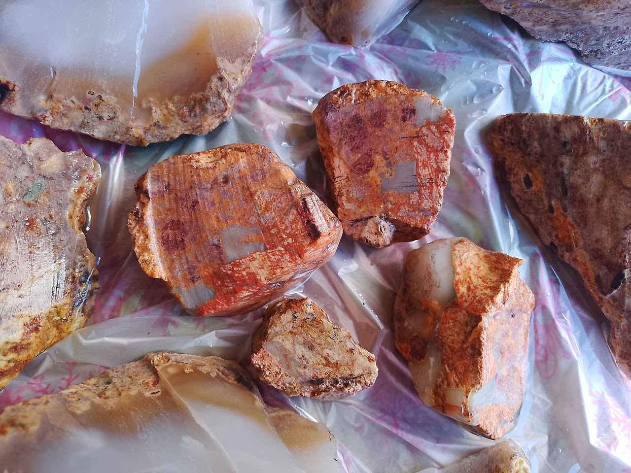 للبيع كمية مميزة من العقيق اليماني الخام (المعظم) المستخرج من الجبل مباشرة.
المميزات:
خامة نظيفة: أحجار بكر تم فحص عينات منها وأثبتت شفافية عالية وألواناً مميزة.
تداخلات لونية: الخام يحتوي على عروق حمراء ورمادية (عقيق مشجر/بريشيا) تعطي نقشات رائعة بعد الصقل.
صلابة ممتازة: الخام قوي ومتماسك، لا يوجد به شقوق داخلية (فطور) تعيق عملية القص.
أحجام متنوعة: تتوفر قطع كبيرة للتشكيل وقطع صغيرة جاهزة للفصّ.
حالة الأحجار:
تم إرفاق صور للقطع الكبيرة الخام، بالإضافة إلى عينة تم قصها وصنفرتها يدوياً لإظهار جمال "اللب" والشفافية


**إذا كنت صاحب هذا الإعلان وتريد حذفه لأي سبب، رجاءا أرسل رسالة إلى الدعم الفني**