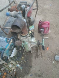 م من رخصة الادمن المحترم سلام عليكم خنزيرة ماء هندي ام الجبنه نضيفه حي...