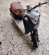 دراجه • عبد الحليم • اوراق كامله