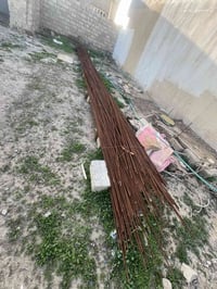 عندي حديد اللبيع ألفا ١٨٠يعني طنين   ابو الحلقات ٣٠ شيش ابو ثلاث ثمان ...