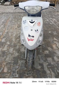 ماكس منغولي • مكفوله • ستوته