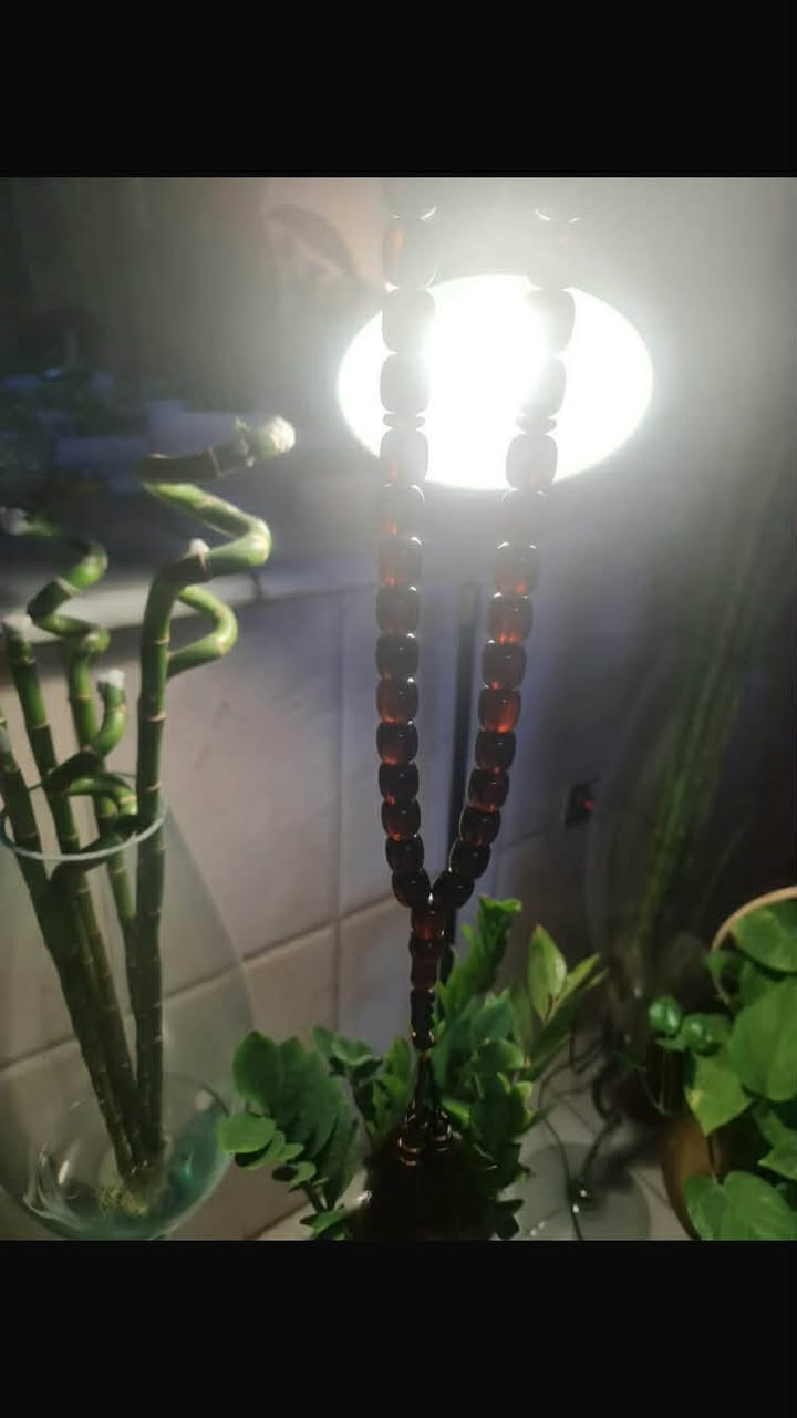 السلام عليكم
بيع أو مراوس حسب القناعة سندلوس اختلفت الاراء بيها ناس كالوا الماني و ناس كالوا باكستاني 33 خرزة وزن مع الكركوشة 135 غرام قياس 18 * 14 ملم مكاني بغداد البياع لا يوجد توصيل


**إذا كنت صاحب هذا الإعلان وتريد حذفه لأي سبب، رجاءا أرسل رسالة إلى الدعم الفني**