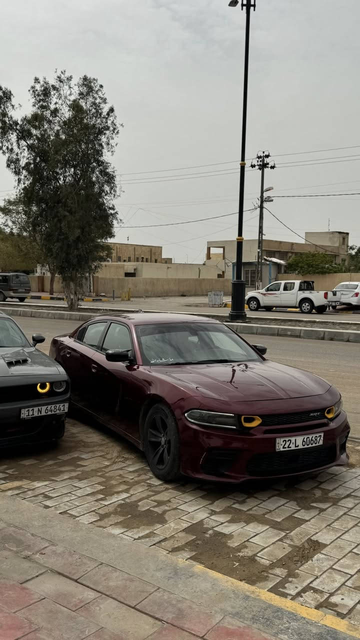 السلام وعليكم
للبيع
جارجر 2018
sxt
v6
موصفات عادي
حادث امريكة فقط بنيد
 وبل عراق بيها صبغ بابين 
مكاني نجف 
للاستفسار؛
***********

