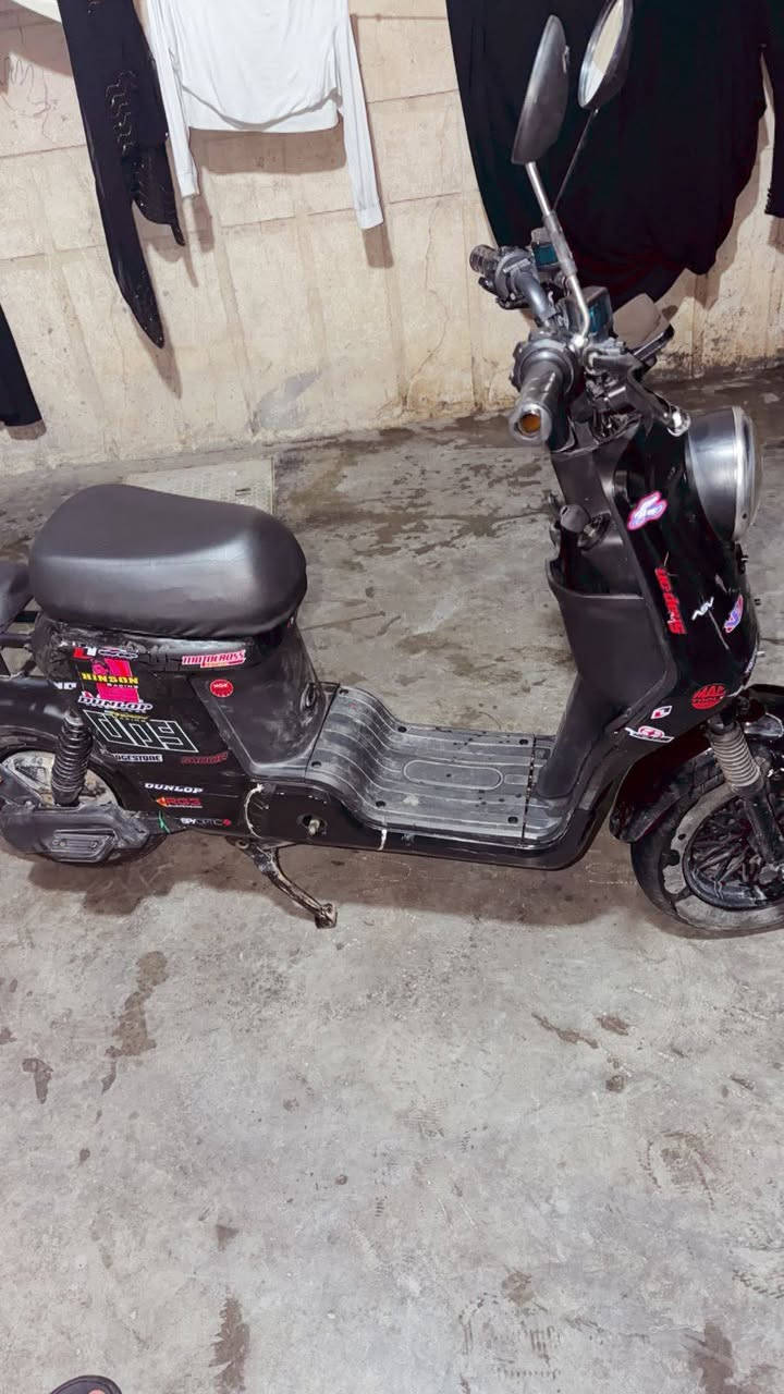 السلام عليكم درجة شحن للبيع النظافه 85 سعر مناسب


**إذا كنت صاحب هذا الإعلان وتريد حذفه لأي سبب، رجاءا أرسل رسالة إلى الدعم الفني**