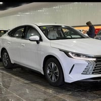 بي واي دي • ديستروير • مشي قليل