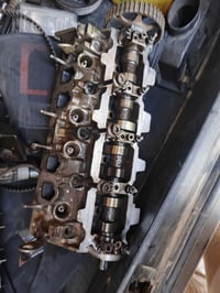 عندي كور للبيع ليفيده يتصل ويدلل 07765198743 مكاني بغداد الوشاش