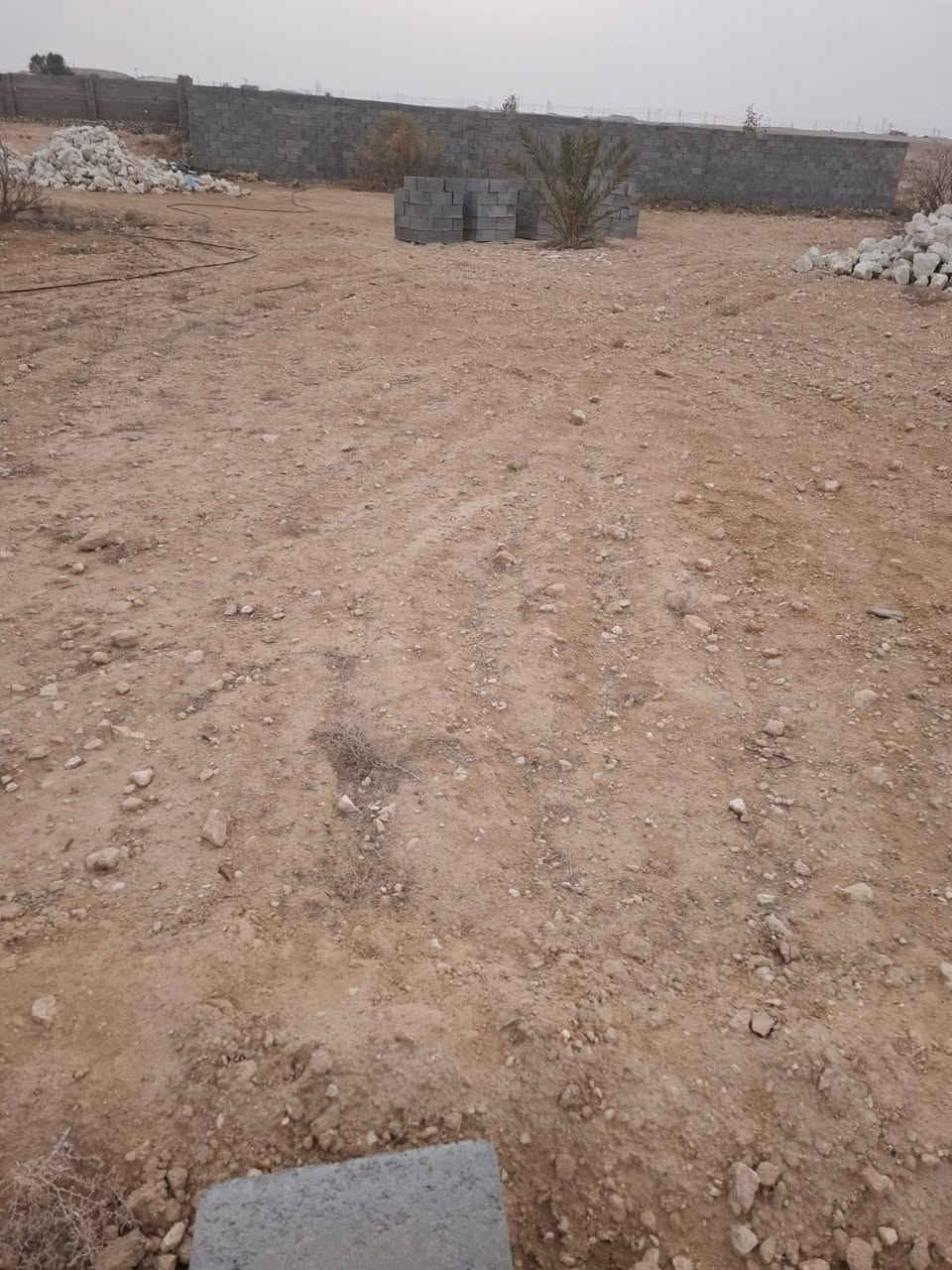 قطعه أرض المساحه 2000 متر غير طابو في ألشيخ حديد قريبه على الحولي كامل خدمات واصل
ألسعر 15وبي مجال للتواصل ***********
