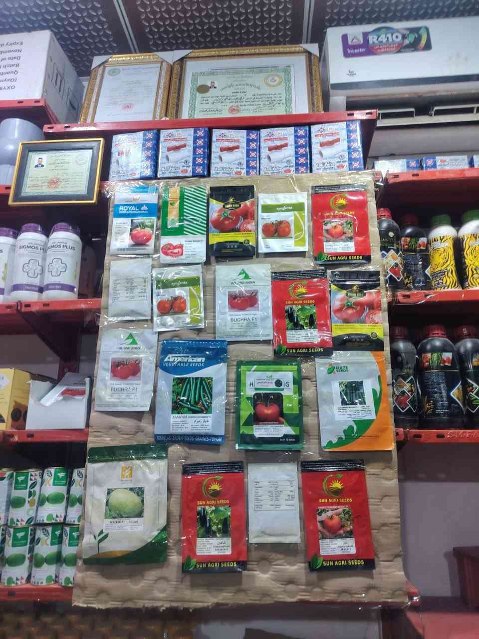 يوجد لدينا طماطه مبكر مكتب ناجي السعيدي عمود 951 رقم ***********
