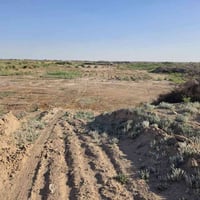 الحامضية • ٢ دونم • واجهة ٤٤م