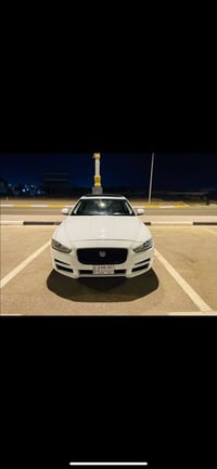 جاكوار ٢٠١٩ • كربلاء • كشنات جلد