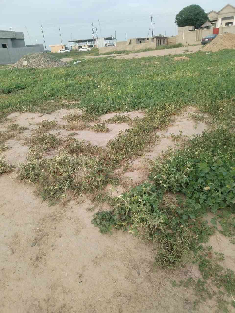 السلام عليكم ورحمة الله وبركاته يوجد قطعه أرض للبيع الواجهه ١٠ ونص العمق ١٨ متر المساحه ١٩٠ متر  الموقع مشروع العملاق الاستفسار مراسله خاص او الاتصال على الرقم ***********
