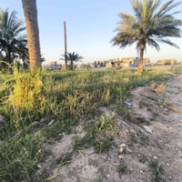 أرض زراعي • ٢١٦م • سند ٢٥