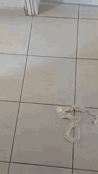 ( ئافا ديكور ) ئامادينه بو سخبيري كرنا خانيا شقا دوكانا هه ر جهه كى هه بيت باشترين شيوه ى هندسي ( سقف جبس بورد / سبغ كرن داخلي خارجي/ دانانا هه ر ديكويكى ته بيفت / دانانا فلينى واجهه ى / و هه ر كاريكى ته بيفت دى خزمت داينه و هه ر جهه كى هه بيت شيوه كى باش جوانترين ديزاين بو بيتر بزانينا به يوه ندى في ژمارى بكه ( *********** )#duhok_zaxo_amedi_semel_akre #duhok_zaxo_amedi_semel_akre #ديكورات_داخليه #ديكورات_منزلية #اربيل_كربلاء_النجف_ميسان_كركوك_ذي_قار_سليمانية_دهوك_الموصل_فاشن_مودل_العراق
