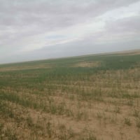 ٤٠٠ دونم • سند ٢٥ • قريه العصريه